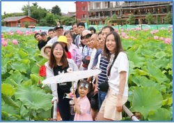 1663742235292279.png image.png